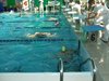 DSCF3490